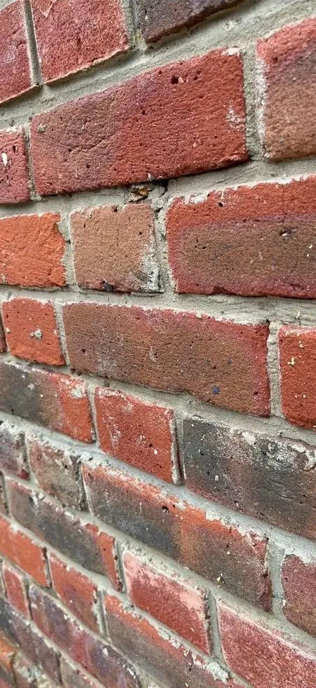 Before — poorly finished pointing with cement smears, Harringay